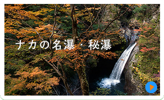 こんなメンバーです