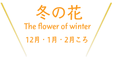 温泉施設のご紹介